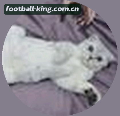 王炸